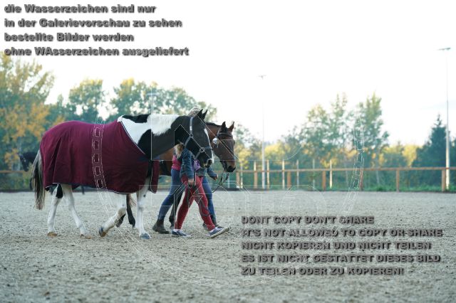 s_K3F09237.JPG